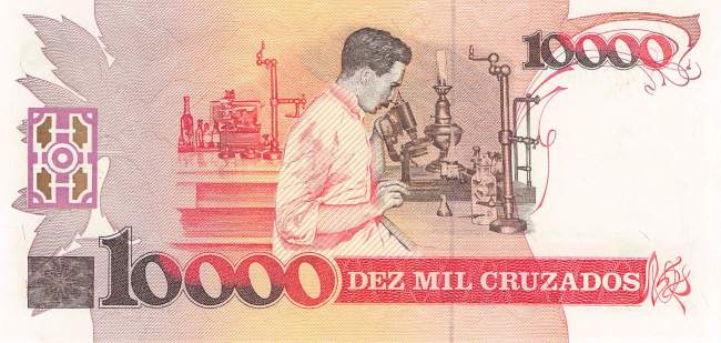 10 Cruzado novo